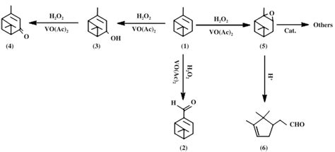 烯酮的烯丙位羟基化反应- X-MOL资讯