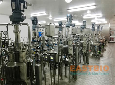 乳酸菌项目-东方生工发酵罐官网