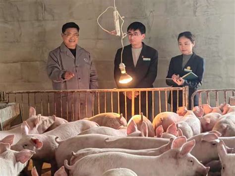杭州：一场“及时雨”助这家养殖场生猪规模增5倍-新华网