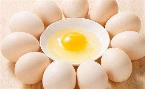 【鸡蛋和鸭蛋哪个营养价值高】 - 乐乐问答