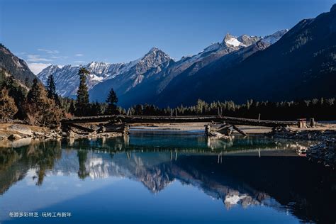 优美的西藏林芝地区户外徒步的天堂雪山🏔️湖泊、森林、溪流、草