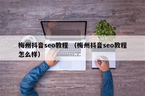 梅州抖音seo教程 （梅州抖音seo教程怎么样） - SEO百科 - 爱网站
