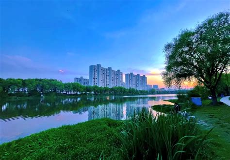 16年一以贯之走生态发展之路 浙江建成全国首个生态省-慈溪新闻网