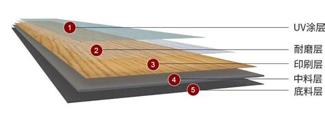 雄牛地板介绍为什么SPC地板现在国内不普及-行业动态-PVC地板_塑胶地板_石塑地板_-雄牛地板厂家[官网]