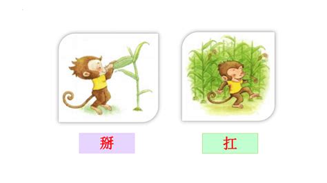 猴子的英文单词 双语例句-七考网