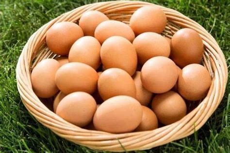 2021年9月26日全国鸡蛋价格参考 - 知乎