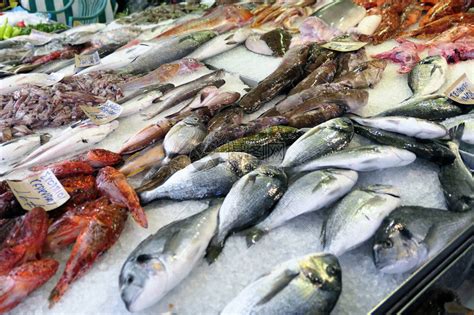 探秘菜市场中的鱼类世界——《菜市场鱼图鉴》_科学技术_什么值得买