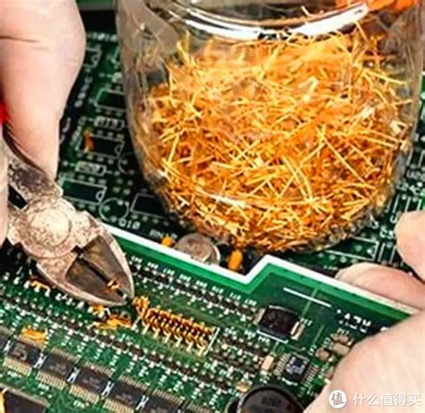 黄金海 的图像结果