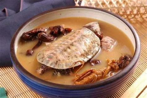 甲鱼汤怎么做好喝又营养，只需4步即可做出味道鲜美的甲鱼汤-趣农笔记