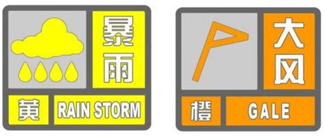 雨太大了！上海中心气象台：暴雨黄色预警信号更新为暴雨橙色预警信号 - 周到上海