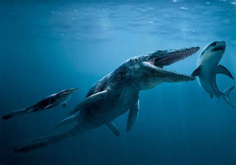 沧龙：从巨蜥进化而来的海洋霸主 - 知乎