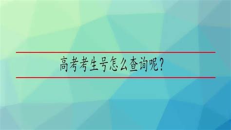 广东高考考生号14位分别是什么-皮学网