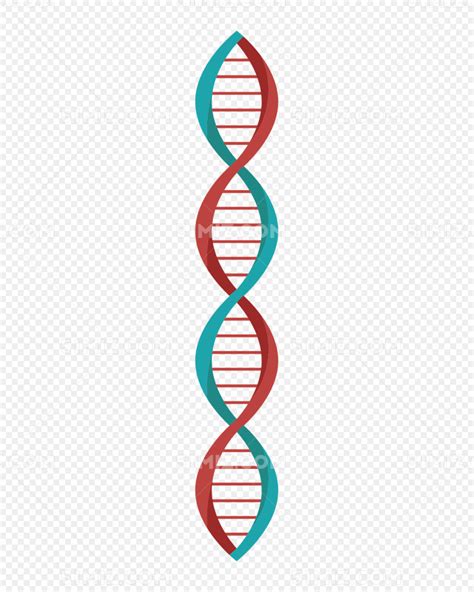 DNA的一级结构与二级结构 - 知乎