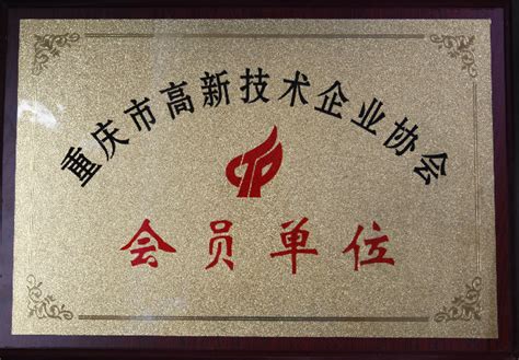 2013年重庆市创新型企业