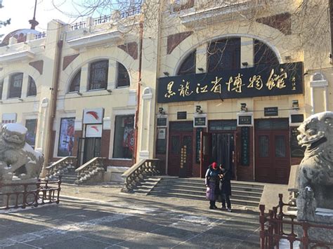 2021黑龙江省博物馆-旅游攻略-门票-地址-问答-游记点评，哈尔滨旅游旅游景点推荐-去哪儿攻略