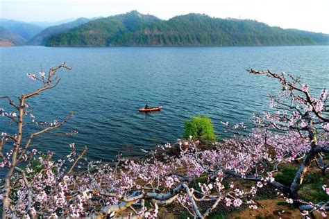 丹东宽甸，有一条湖光山色、流水桃花的线路，很适合5.1自驾游|韭菜沟|宽甸|鸭绿江_新浪新闻
