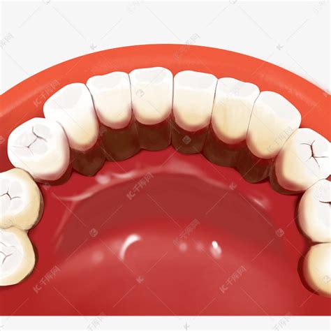 牙科红口白牙素材图片免费下载-千库网