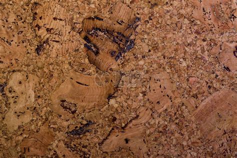 天然软木树块的粗棕壁纸高清图片下载-正版图片304367595-摄图网