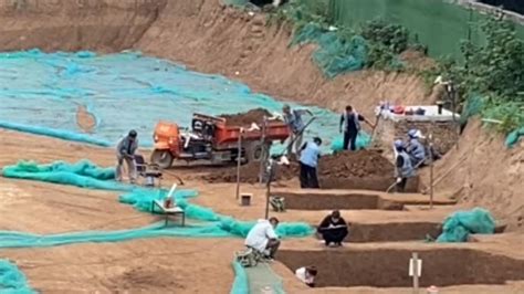 即墨挖出宋代古墓 惊现55枚铜钱与一具尸骨(图) - 青岛新闻网