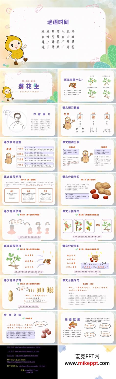 冀教版·小学语文五年级上册《落花生》教育教学PPT课件- 老师板报网