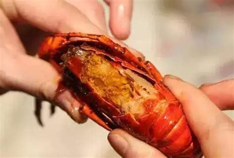 【小龙虾怎么吃】【图】小龙虾怎么吃 让你吃遍虾美味_伊秀美食|yxlady.com