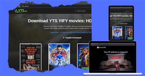 每天ys官方下载app-每天影视最新版(每天YS)下载v2.1.3 安卓免费版-9663安卓网