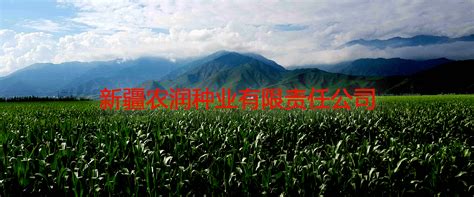 河南省丰登种业有限公司