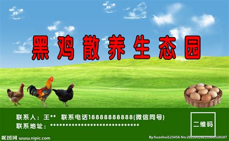 鸡名片 鸡厂名片 养鸡场设计图__广告设计_广告设计_设计图库_昵图网nipic.com
