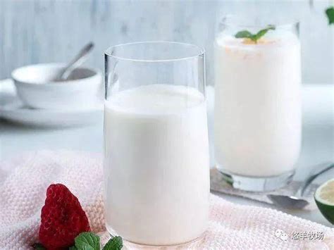 羊奶营养价值更高，养生功效更出色_陕西三原康尔健乳业有限责任公司