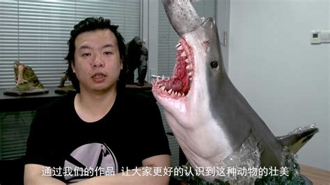 大白鲨设计者橙子专访_腾讯视频