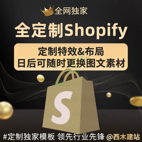 Shopify全定制模板二次开发独立站功能样式定制高端大气企业品牌-淘宝网