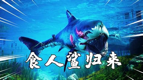 食人鲨 游戏截图截图_食人鲨 游戏截图壁纸_食人鲨 游戏截图图片 3dmgame.com_3DM单机