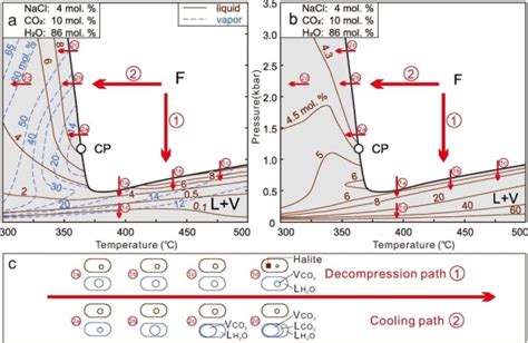 研究揭示H2O-NaCl-CO2体系热力学模拟及石英溶解度计算对金矿床成矿过程的指示 - 科技前沿 - 颗粒在线