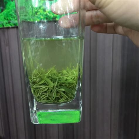 用玻璃杯冲泡的五峰毛尖茶高清图片下载_红动中国