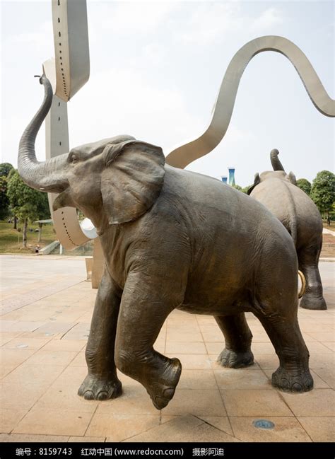 雕塑大象拍摄高清图片下载_红动网