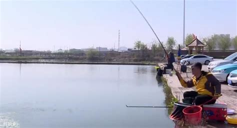 夏季在水库使用抛竿钓法的优势（一）_钓鱼人必看