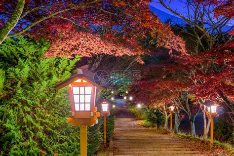 日本在秋天黄昏时由阿拉古高清图片下载-正版图片503186527-摄图网