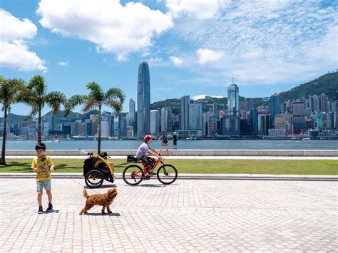 2024西九龙海滨长廊游玩攻略,西九龙海滨长廊可以看到香港...【去哪儿攻略】