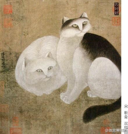 古人是怎么给猫取名字的？附中国独有的3大猫品种 - 胖萌舍宠物网