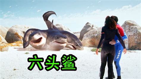 【盘点】假如电影里的变异鲨鱼有段位，从青铜到王者_腾讯视频
