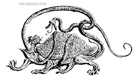 上古神兽玄武的起源，为什么是龟蛇同体的形象？