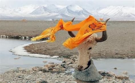 去西藏有高原反应怎么办 - 业百科