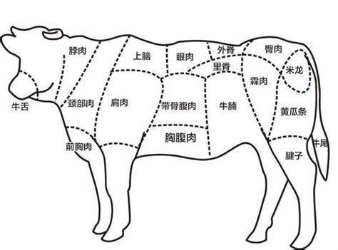 牛仔骨是牛的哪个部位 牛仔骨怎么做好吃-查查吧的轻略博客