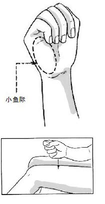 手掌小鱼际位置图图片 手掌小鱼际位置图图片
