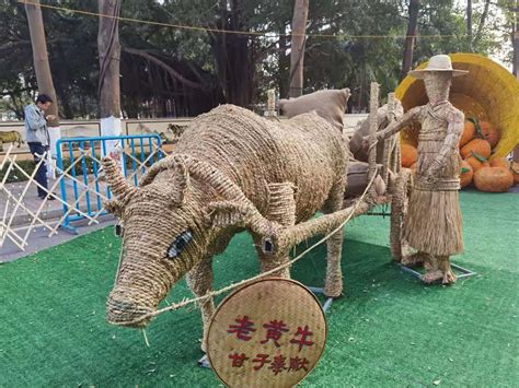 横沥稻草雕塑文化展在横沥镇金牛公园亮相-知东莞