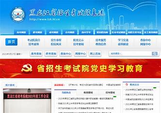 黑龙江专业网站优化检修 的图像结果