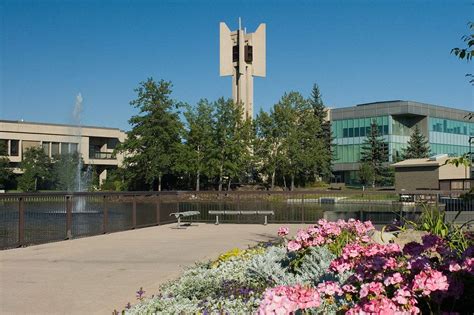 加拿大皇家山大学世界排名|怎么样|入学条件_海外院校库-柳橙网