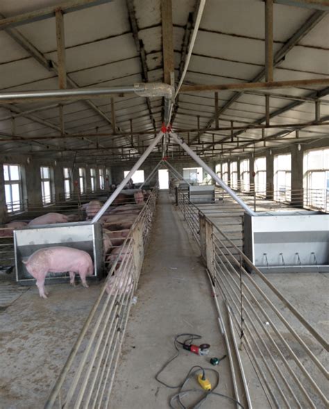 自动化养猪设备之自动料线链条安装_其他畜牧养殖机械_第一枪