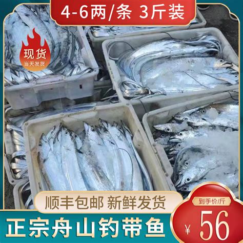 鲜到鲜得 冷冻舟山带鱼段1kg 刀鱼 深海鱼 生鲜 鱼类 海鲜水产 去头去尾-商品详情-菜管家