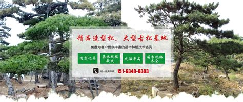 广东大自然园林绿化有限公司2024年最新招聘信息-电话-地址-才通国际人才网 job001.cn